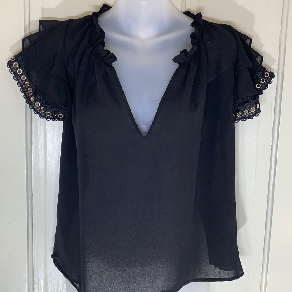 Misa Los Angeles Sheer Top